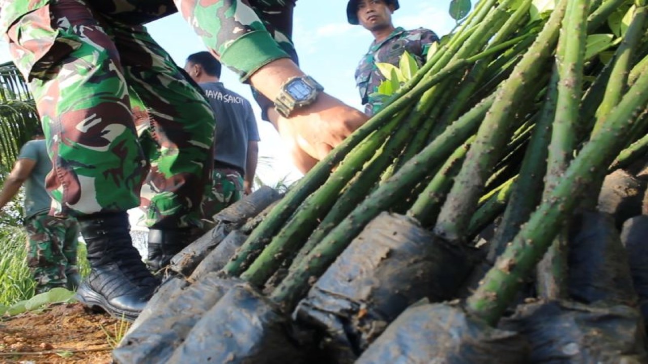 Personel TNI menurunkan bibit mangrove untuk ditanam di sepanjang bibir pantai Desa Tangan-Tangan Cut, Setia, Kabupaten Aceh Barat Daya, Rabu (22/2/2023) (ANTARA/Suprian)