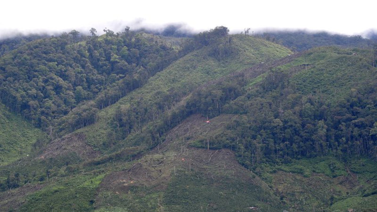 Pemandangan kawasan Taman Nasional Kerinci Seblat (TNKS) yang sebagian lahannya telah dibuka di Merangin, Jambi, Sabtu (25/6/2022). Penebangan kayu dan pembukaan ladang secara ilegal dalam kawasan hutan lindung taman nasional tersebut terus terjadi dan bertambah luas dalam beberapa tahun terakhir. ANTARA FOTO/Wahdi Septiawan/wsj.