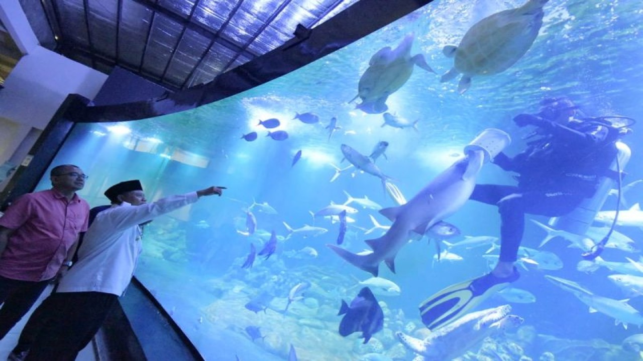 Wakil Gubernur Jawa Barat Uu Ruzhanul Ulum saat meninjau Aquarium Indonesia Pangandaran di Kabupaten Pangandaran, Senin (30/1/2023). (ANTARA/HO-Humas Pemda Jawa Barat)