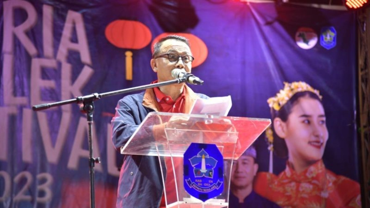 Wakil Bupati Bangka Provinsi Kepulauan Bangka Belitung Syahbudin (ANTARA/Kasmono)