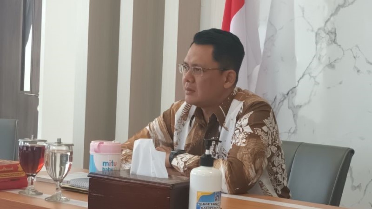 Wakil Bupati Sleman Danang Maharsa. ANTARA/Victorianus Sat Pranyoto