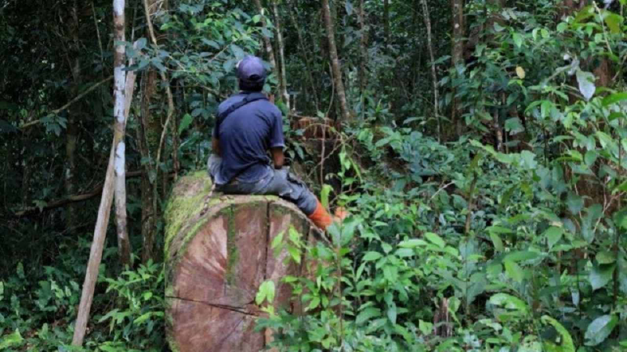 Ilustrasi - warga sedang berada di hutan (ANTARA)