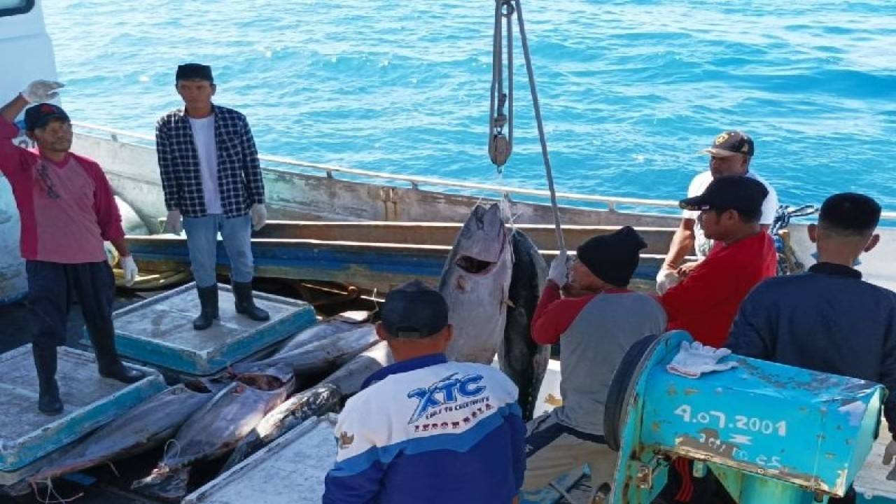 Aktivitas nelayan di perairan Biak Numfor. ANTARA/Muhsidin