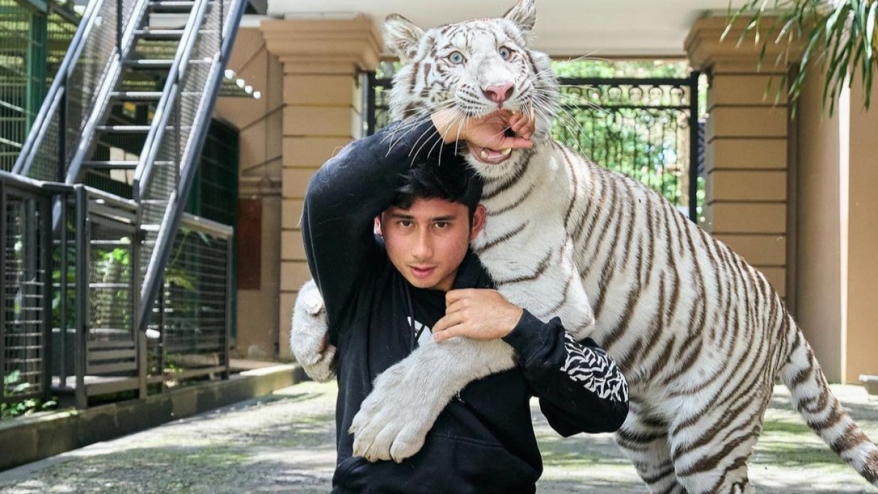 Alshad Ahmad/Instagram