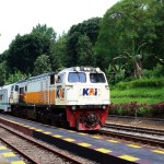 Arsip Foto. KA Wijayakusuma berhenti di Stasiun Garahan Jember. (ANTARA/HO-Humas KAI Daop 9 Jember)-1679997993