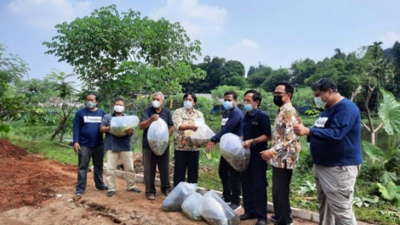 Kepala UPTD BBI Kota Depok, Nur Hidayat (keempat dari kiri) ketika memberikan bibit ikan konsumsi. (ANTARA/Foto: Feru Lantara).