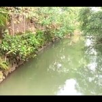 Bangunan di bantaran sungai di daerah Kabupaten Sukoharjo, Kamis (16/3/2023). ANTARA/Aris Wasita-1678942384