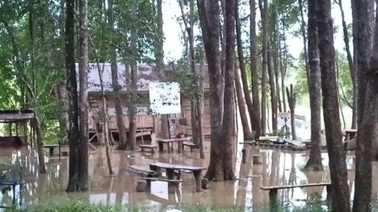 Sebanyak lima Kecamatan yang ada di Kabupaten Batanghari, Jambi sudah mulai terdampak banjir, Senin (20/3/2023), (ANTARA/Riski Apriyani).