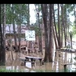 Banjir-1679301277