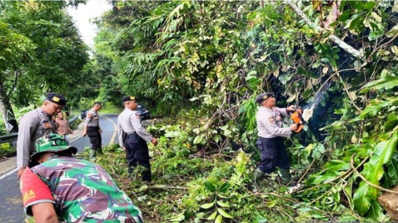 Tangkapan layar personel Polres Solok Selatan bersama TNI dan BPBD setempat juga membantu mengevakuasi pohon tumbang yang menghalangi jalan nasional akibat tanah longsor di Liki, Sangir, Minggu (19/3/2023).  (ANTARA/Instagram satsamapta_polressolsel)