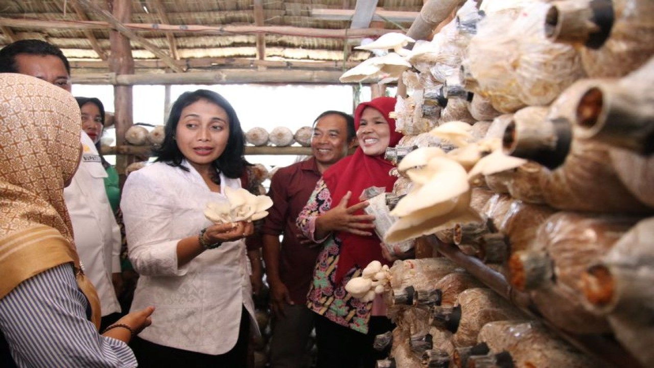 Menteri Pemberdayaan Perempuan dan Perlindungan Anak Bintang Puspayoga saat kunjungan kerja ke Kawasan Transmigrasi Telang, Desa Muliasari, Kabupaten Banyuasin, Sumatra Selatan. (ANTARA/ HO-Kemen PPPA)