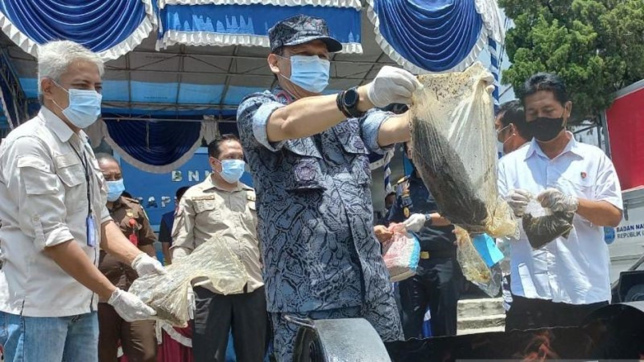 Kepala BNN Papua Barat Brigadir Jenderal Polisi Heri Istu Hariono memasukkan barang bukti ganja ke tempat pembakaran untuk pemusnahan di Manokwari, Kamis (9/3/2023). ANTARA/Fransiskus Salu Weking