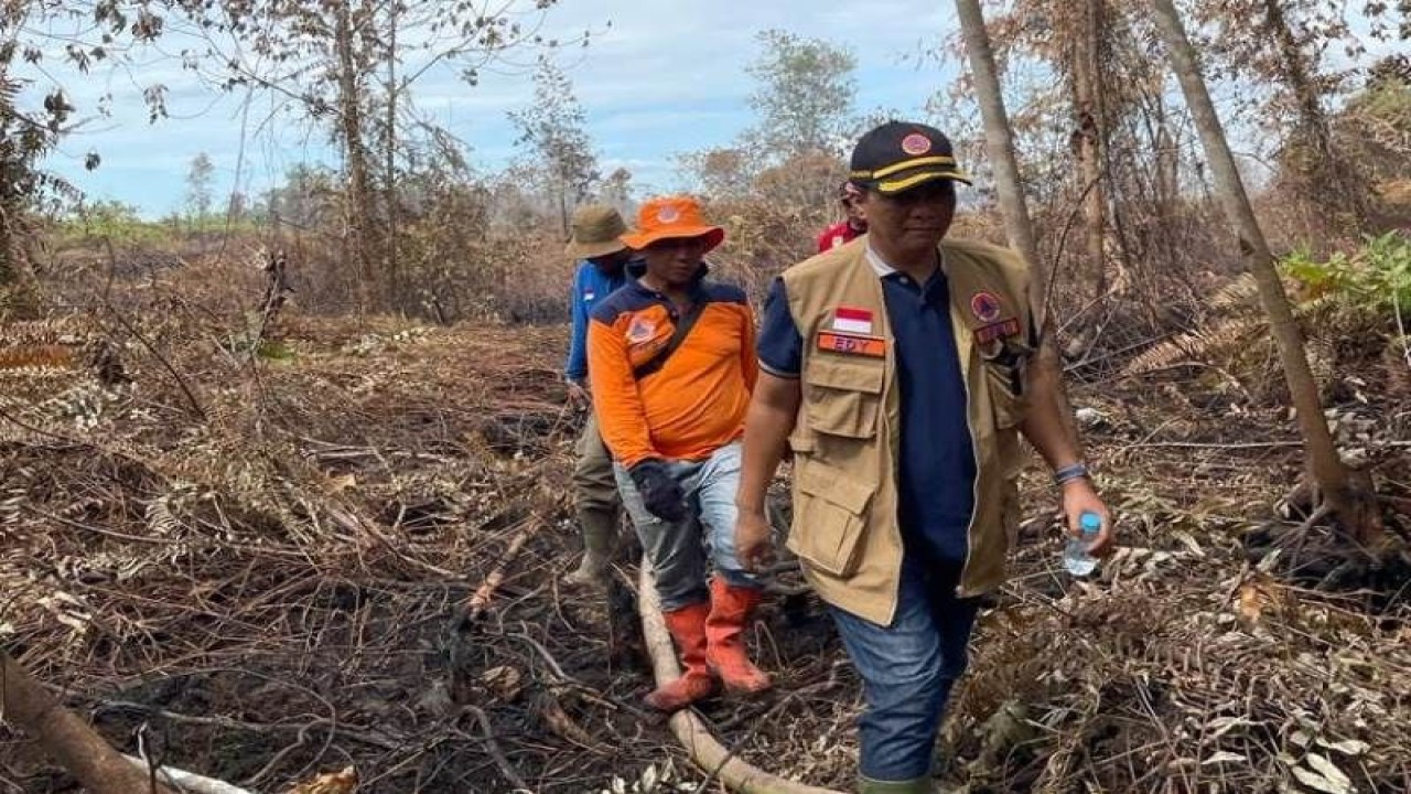 BPBD Riau imbau pemerintah kabupaten dan kota siaga karhutla. Antara/Dok.