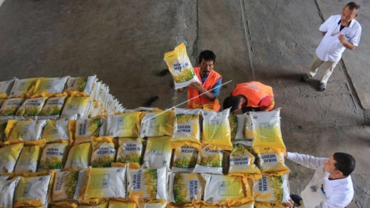 Ilustrasi - Sejumlah pekerja menata dan mempersiapkan beras program Stabilisasi Pasokan dan Harga Pangan (SPHP) di gudang Perum Bulog Meulaboh, Aceh Barat, Aceh, Selasa (24/1/2023). (ANTARA /Syifa Yulinnas)