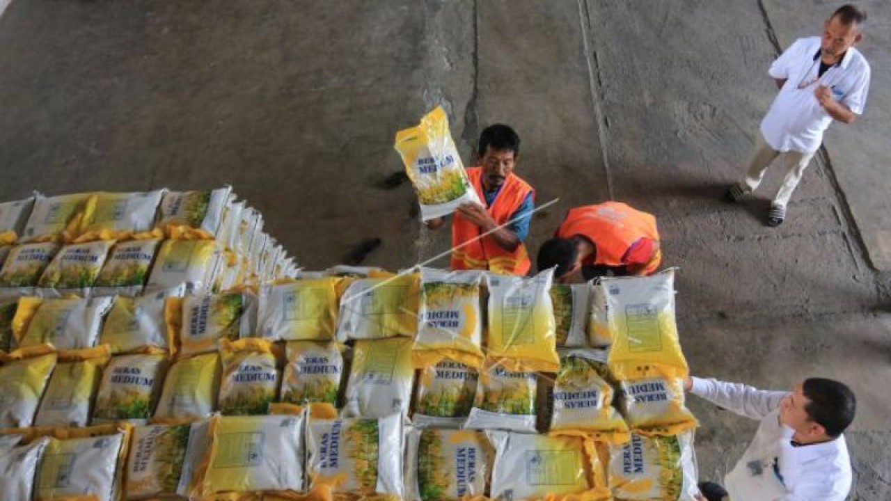 Ilustrasi - Sejumlah pekerja menata dan mempersiapkan beras program Stabilisasi Pasokan dan Harga Pangan (SPHP) di gudang Perum Bulog Meulaboh, Aceh Barat, Aceh, Selasa (24/1/2023). ANTARA FOTO/Syifa Yulinnas