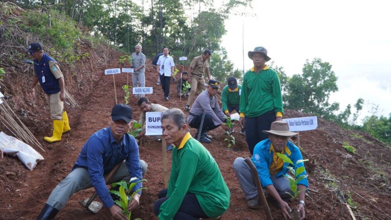 Bupati Gunungkidul Sunaryanta menanam pohon kopi. (ANTARA/HO-Humas Pemkab Gunungkidul)