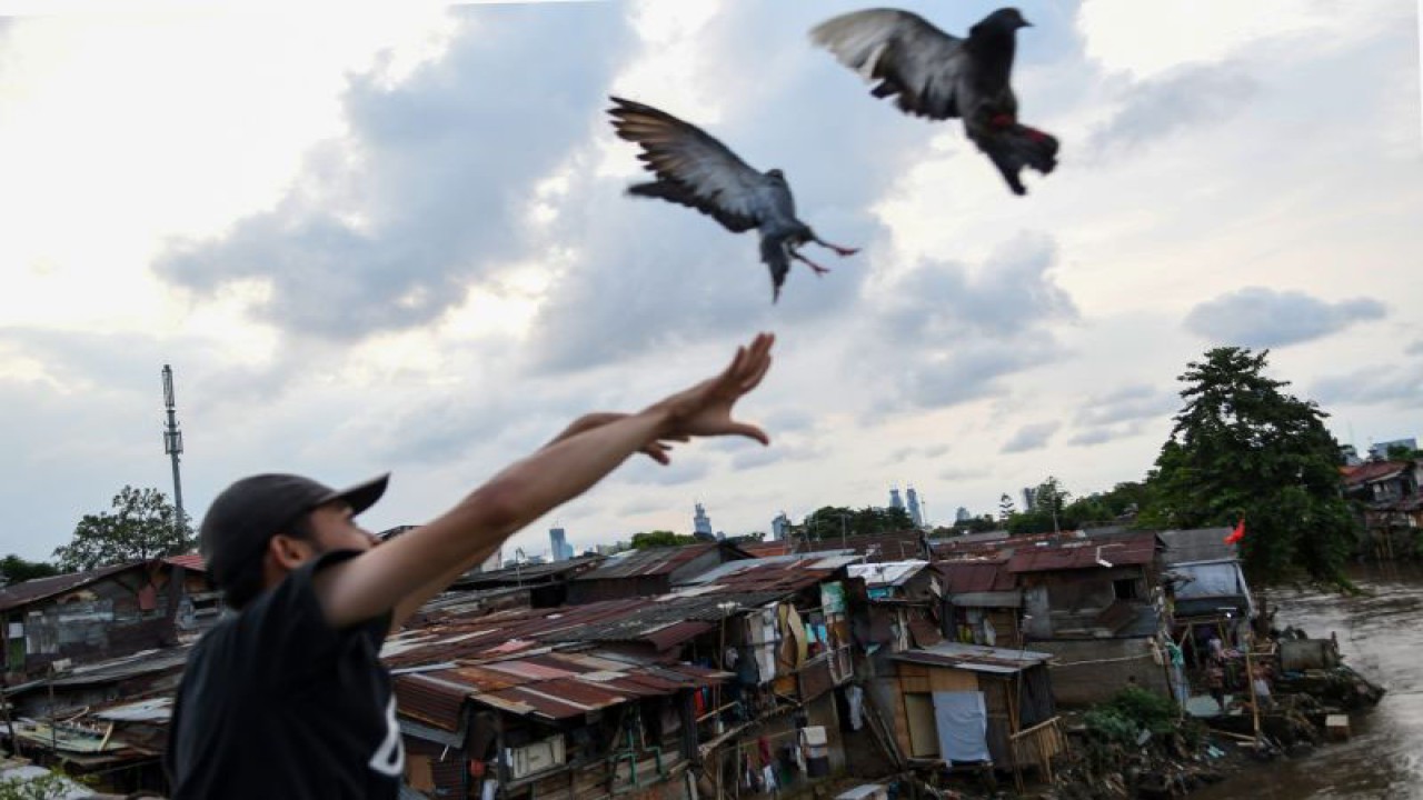 Warga melepaskan burung merpati tak jauh dari permukiman bantaran sungai Ciliwung, Manggarai, Jakarta, Rabu (15/4/2020). ANTARA FOTO/M Risyal Hidayat/foc.