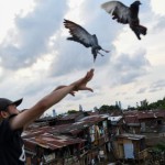 burung-1677741807