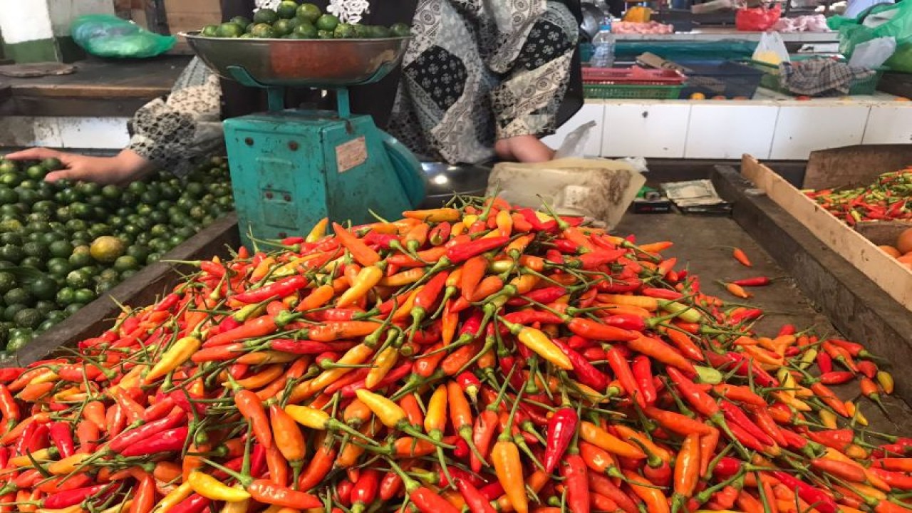 Cabai yang dijual di Pasar Flamboyan Pontianak (ANTARA/Damara)