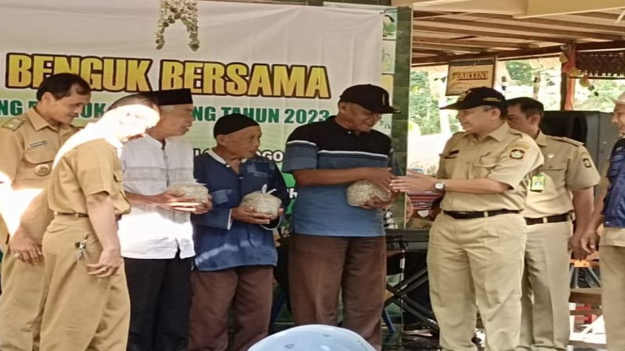 Kepala Dinas Pertanian dan Pangan Kulon Progo memberi bantuan benih koro benguk. (ANTARA/HO-Dokumen Dinas Pertanian dan Pangan Kulon Progo)