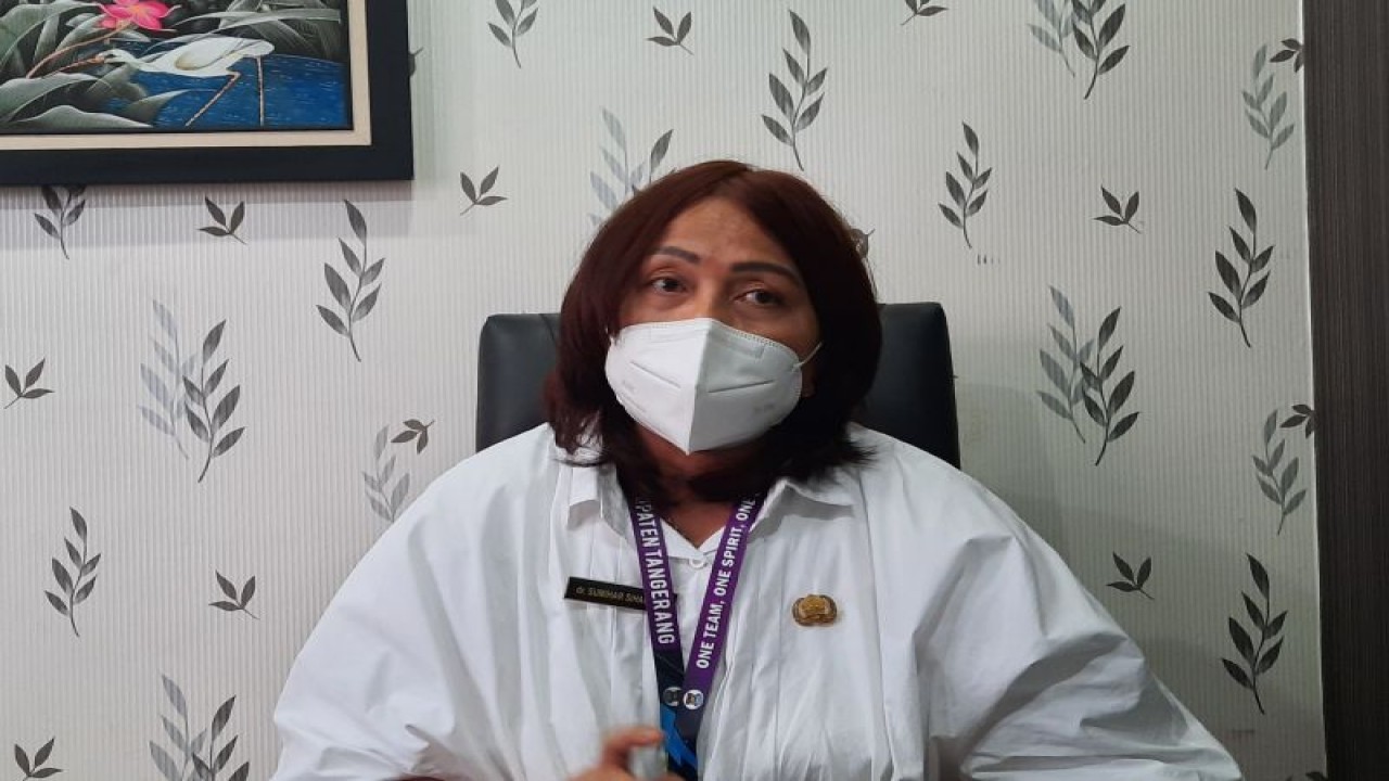 Kepala Bidang Pencegahan dan Pengendalian Penyakit (P2P) pada Dinas Kesehatan (Dinkes) Kabupaten Tangerang, dr Sumihar Sihaloho. (Azmi Samsul Maarif)