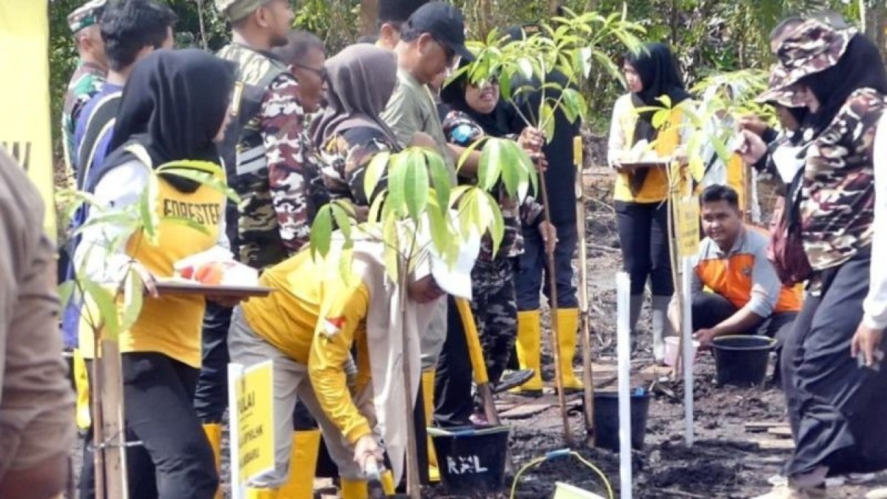 Penanaman bersama Gubernur Kalsel Sahbirin Noor dalam rangka Hari Bakti Rimbawan yang berlokasi di tanah Pemprov Kalsel samping Lapangan Golf SwargaLoka, Kamis (16/3/2023). ANTARA/Latif Thohir.