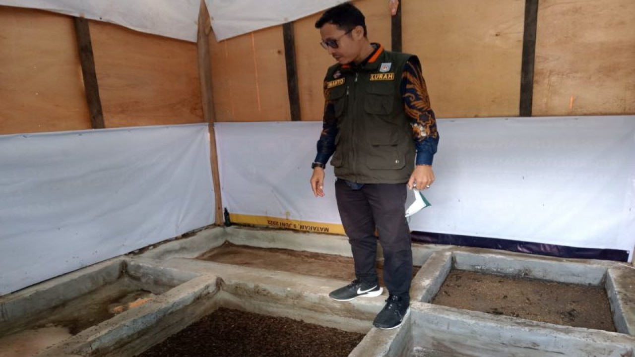 Petugas berada di tempat pengolahan sampah melalui budi daya maggot di Kelurahan Monjok Timur, Kota Mataram, Provinsi Nusa Tenggara Barat. (ANTARA/Nirkomala)