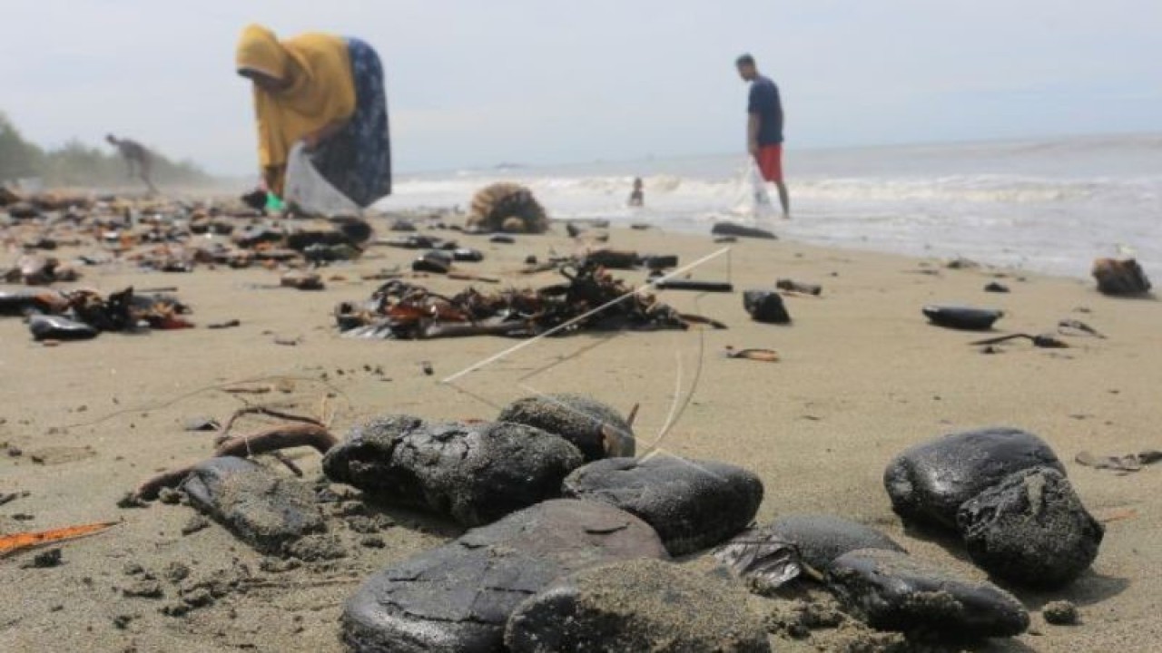 Sejumlah warga mengumpulkan batu bara yang mencemari kawasan pesisir pantai di Desa Peunaga Rayeuk, Kecamatan Meureubo, Aceh Barat, Aceh, Selasa (14/3/2023). (ANTARA FOTO/Syifa Yulinnas/tom.)