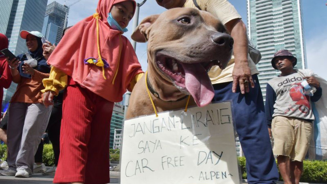 Anggota komunitas pecinta anjing melakukan aksi protes terkait larangan membawa hewan peliharaan pada kegiatan Hari Bebas Kendaraan Bermotor (HBKB) di Bundaran HI, Jakarta, Minggu (30/10/2022). ANTARA FOTO/Fakhri Hermansyah/aww.