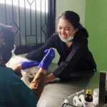 Dokter Hewan-1678694009