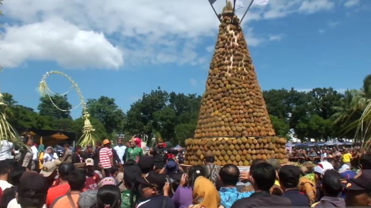 Masyarakat antusias berebut durian dalam Kegiatan "Gebyar Gunungan dan Sedekah Hasil Bumi" di alun-alun Jember, Sabtu (4/3/2023). (ANTARA/Zumrotun Solichah)