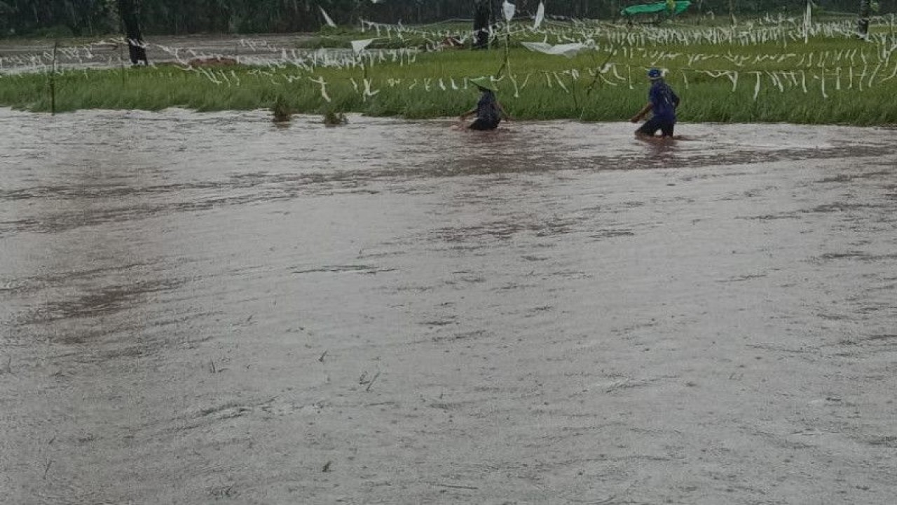 Luapan air sungai di Kabupaten Bima, NTB yang mengakibatkan rumah warga diterjang banjir, Senin (6/3/2023) (ANTARA/Humas BPBD Bima)