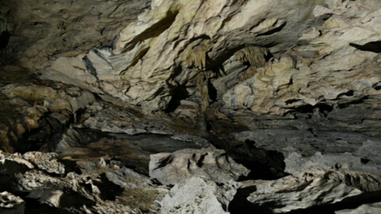 Salah satu gua vertikal dalam karst Gunung Batu Benau di Kaltara dan Kaltim (ANTARA / HO YKAN)