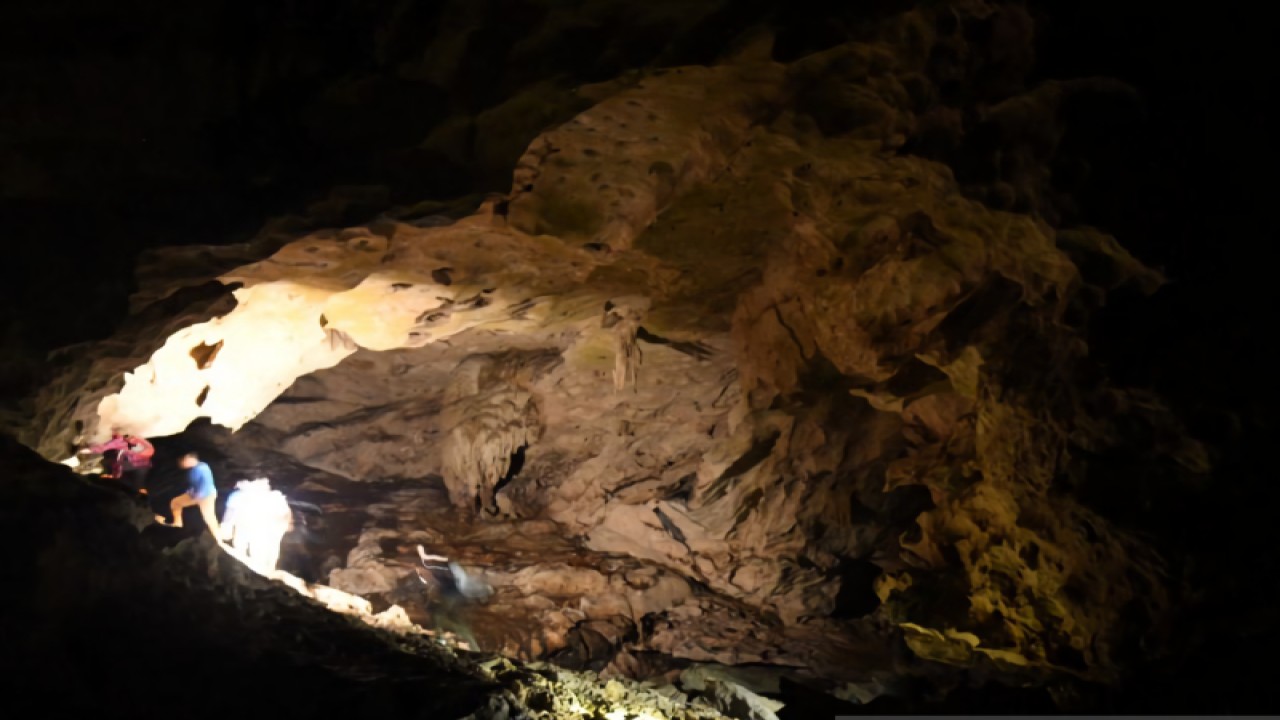 Karst Gunung Batu Benau sebagian besar terletak di Kabupaten Bulungan, Provinsi Kalimantan Utara, sementara sisanya berada di wilayah Kabupaten Berau, Provinsi Kalimantan Timur. (ANTARA/HO-YAYASAN KONSERVASI ALAM NUSANTARA)