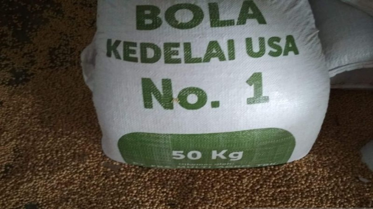 Kedelai impor dari luar negeri yang sangat dibutuhkan pelaku usaha tahu dan tempe di Kabupaten Kudus, Jawa Tengah, karena kedelai lokal jarang tersedia. (ANTARA/Akhmad Nazaruddin Lathif)