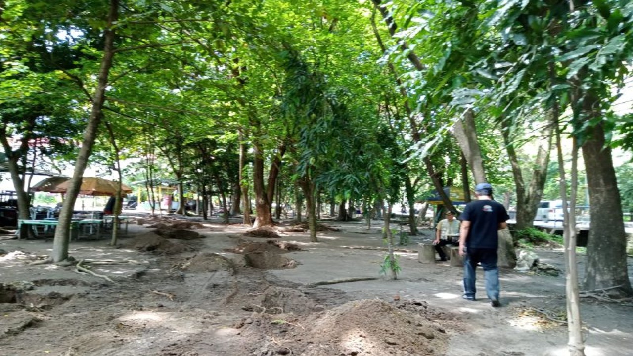 Hutan Kota Udayana merupakan salah satu ruang terbuka hijau di Kota Mataram, Provinsi Nusa Tenggara Barat, yang sedang ditata kembali. (ANTARA/Nirkomala)