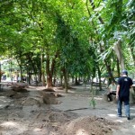 Hutan-1678093298