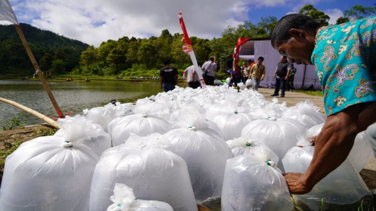 Pemkab Garut tebar benih ikan di kawasan Situ Rancahideung, Kecamatan Cihurip, Kabupaten Garut, Jawa Barat. ANTARA/HO-Diskominfo Garut