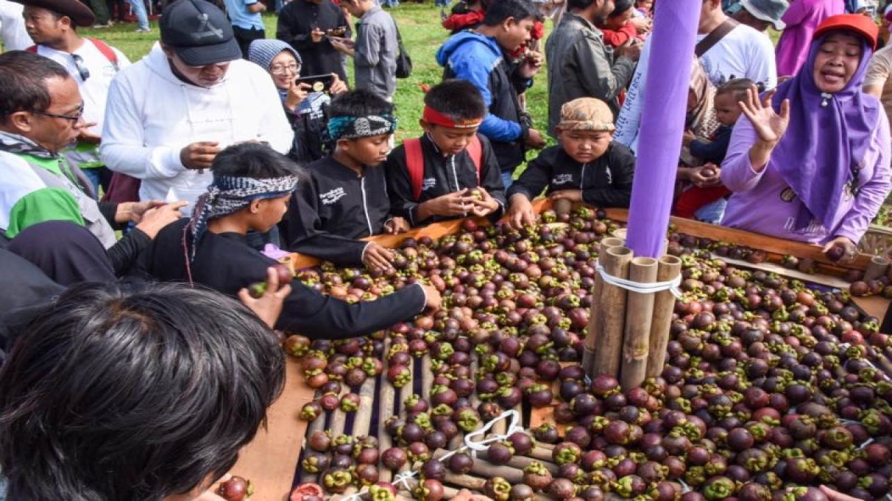 Ilustrasi - Manggis khas Wanayasa. (ANTARA/HO-Pemkab Purwakarta)