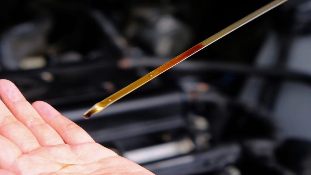 Ilustrasi: Pengecekkan melalui dipstick oli (ANTARA/Ho)