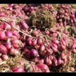 Ilustrasi, Stok cabai dan bawang merah di Babel cukup (ANTARA)-1678084959
