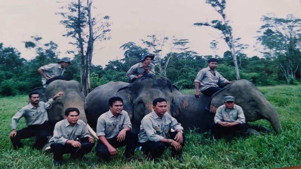 Badrul Irfan bersama sejumlah rimbawan bersama gajah di kawasan hutan di Aceh. ANTARA/HO-Dokumentasi pribadi