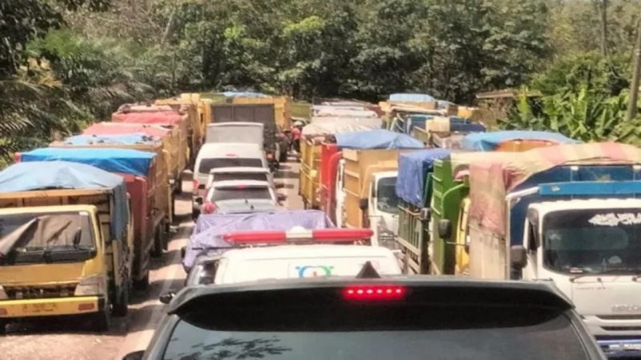Antrian angkutan batu bara di jalan nasional di Jambi. (ANTARA/HO-IST)