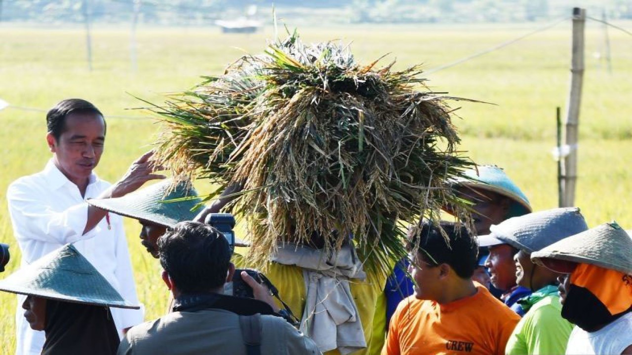 Presiden Joko Widodo (kiri) berbincang dengan sejumlah petani saat meninjau panen raya padi dalam kunjungan kerjanya di Ngawi, Jawa Timur, Sabtu (11/3/2023). (ANTARA FOTO/Siswowidodo/foc/pri.)