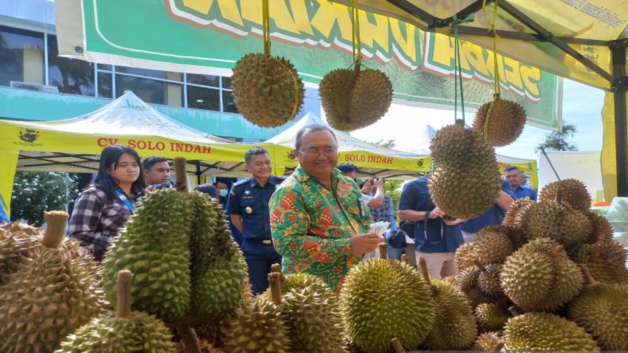 Durian montong asal Kabupaten Parigi Moutong yang dipamerkan di Bazar Pekan UMKM yang dirangkaikan dengan peringatan hari bhakti Perbendaharaan ke-19 tahun 2023 di Kota Palu, Sulawesi Tengah, Kamis (2/3/2023). ANTARA/Kristina Natalia