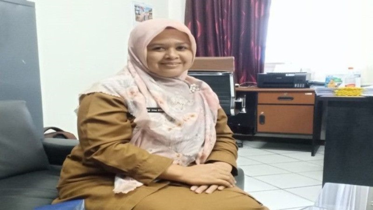 Kasubag Hukum Humas dan Organisasi pada RSUD  Tanah Bumbu Dini Irma Irliani, (ANTARA/Sujud)