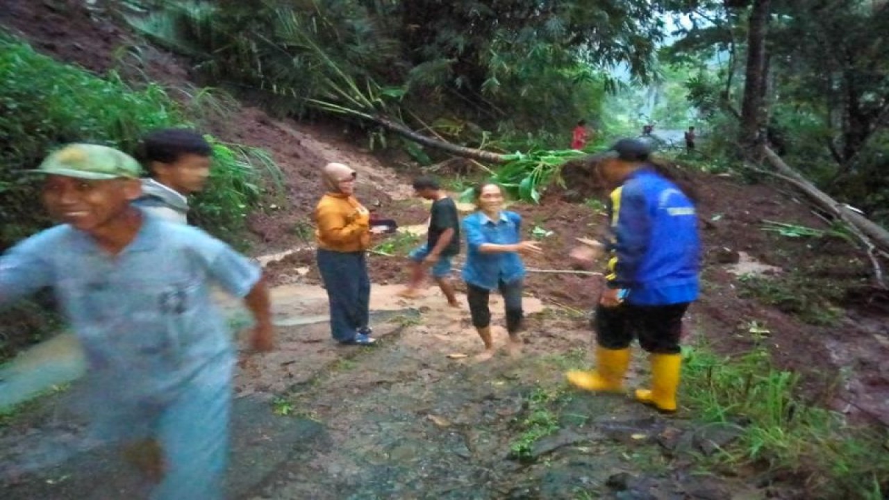 Kasus kebencanaan di wilayah perbukitan Menoreh Kulon Progo. (ANTARA/HO-Dokumen Tim Reaksi Cepat Kulon Progo)