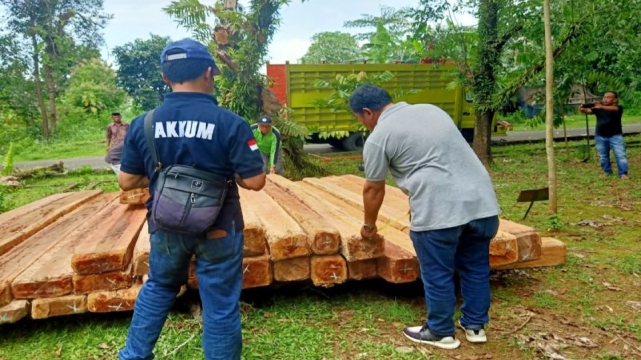 Suasana penyitaan barang bukti usai tim operasi Gakkum KLHK Wilayah Sulawesi menangkap mobil truk mengangkut kayu ilegal tanpa dokumen resmi di Desa Arawa, Kecamatan Watampulu, Kabupaten Sidrap, Sulawesi Selatan. ANTARA/HO/Dokumentasi Gakkum Sulawesi.