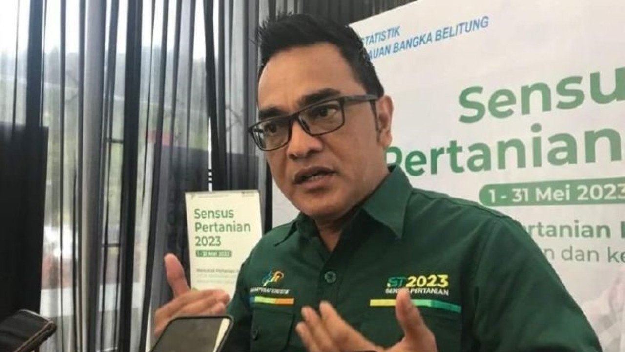 Kepala BPS Provinsi Kepulauan Babel Toto Haryanto Silitonga (Aprionis/ANTARA)