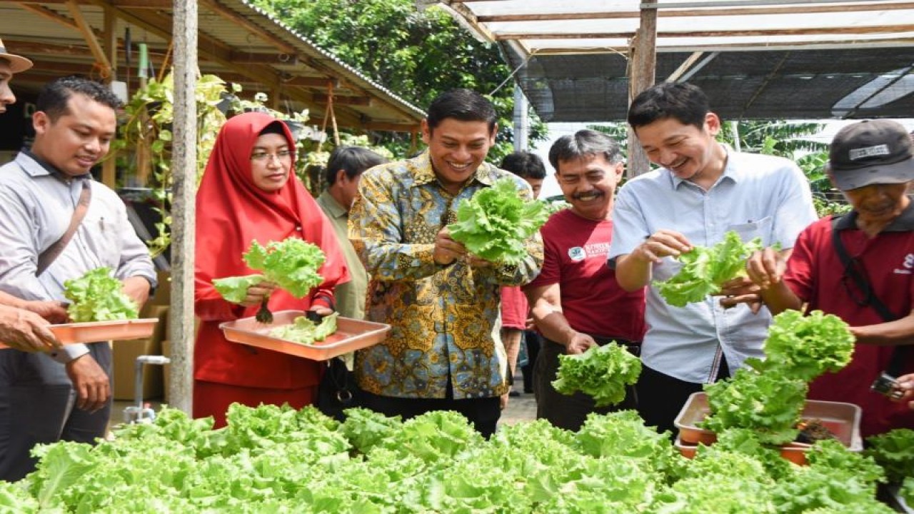 Komunitas sayuran hidroponik di Kediri, Jawa Timur. ANTARA/ HO-Pemkot Kediri
